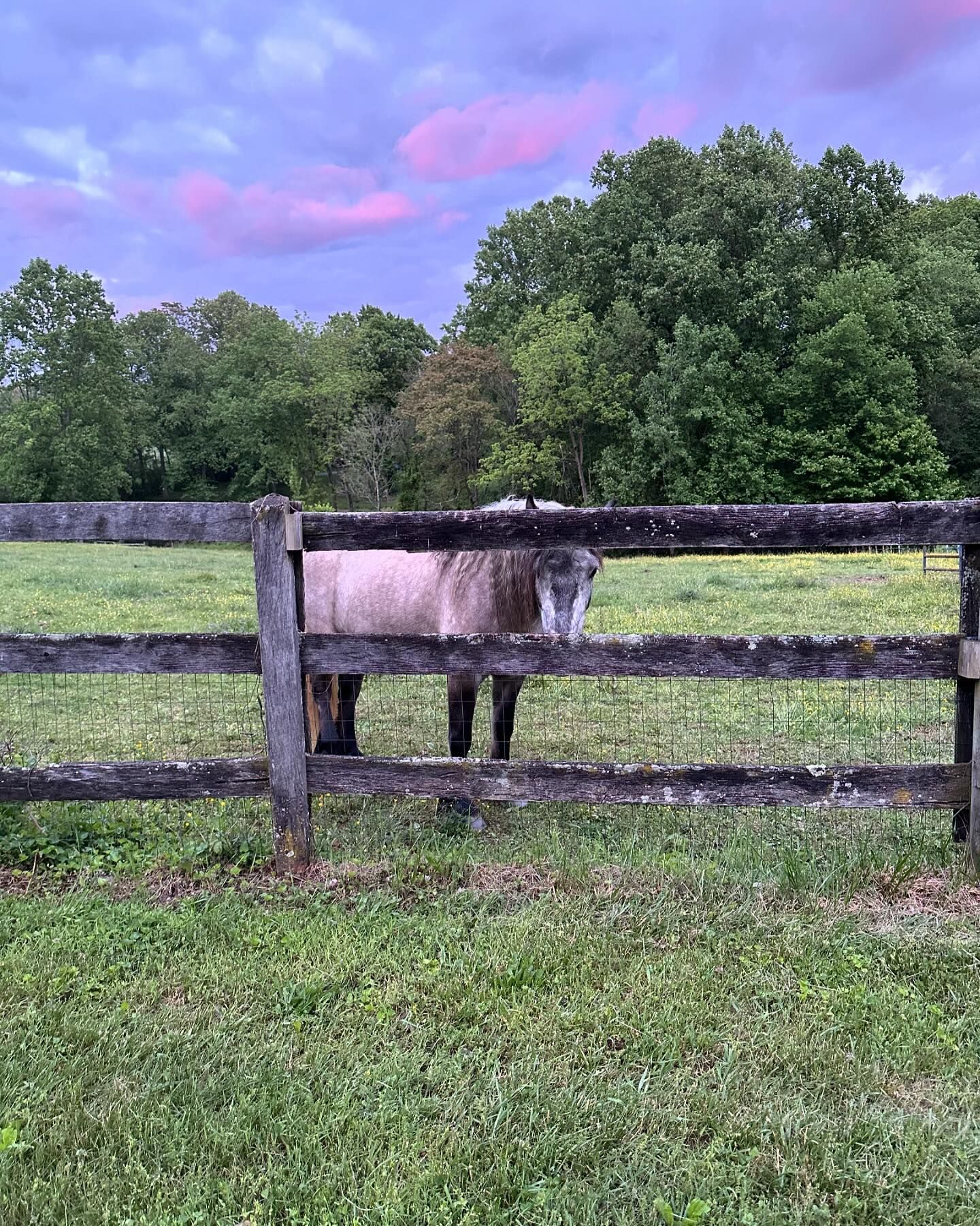 Mistakes To Avoid When Selling A Horse Farm
